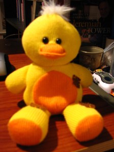 Ducky T