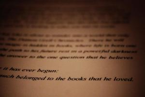 In the Beginning there was a boy, who very much belonged to the books that he loved.