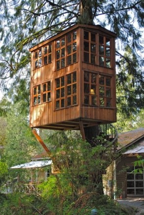 Behold the beauty that is the writing treehouse.